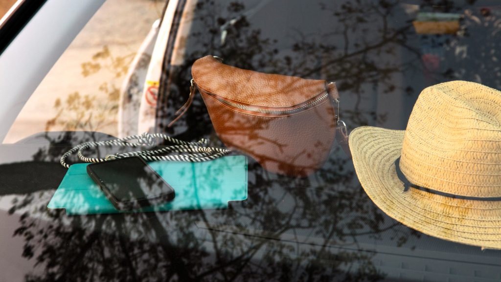 Cómo quitar los mosquitos del coche rápidamente