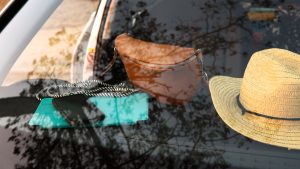 Cómo quitar los mosquitos del coche rápidamente